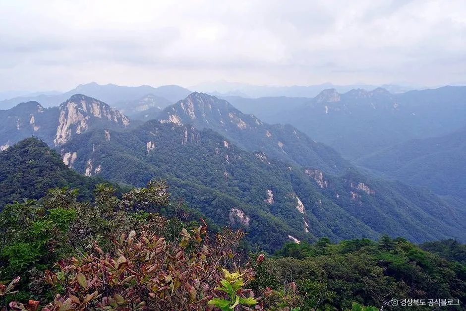 문경_조령산 (8)