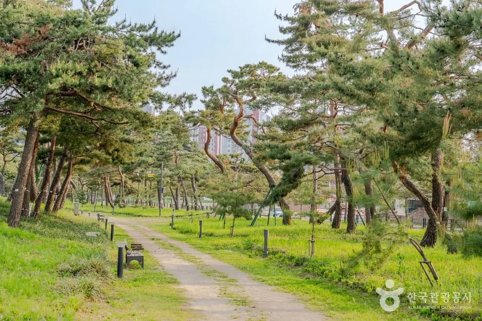 수원_노송지대 (3)