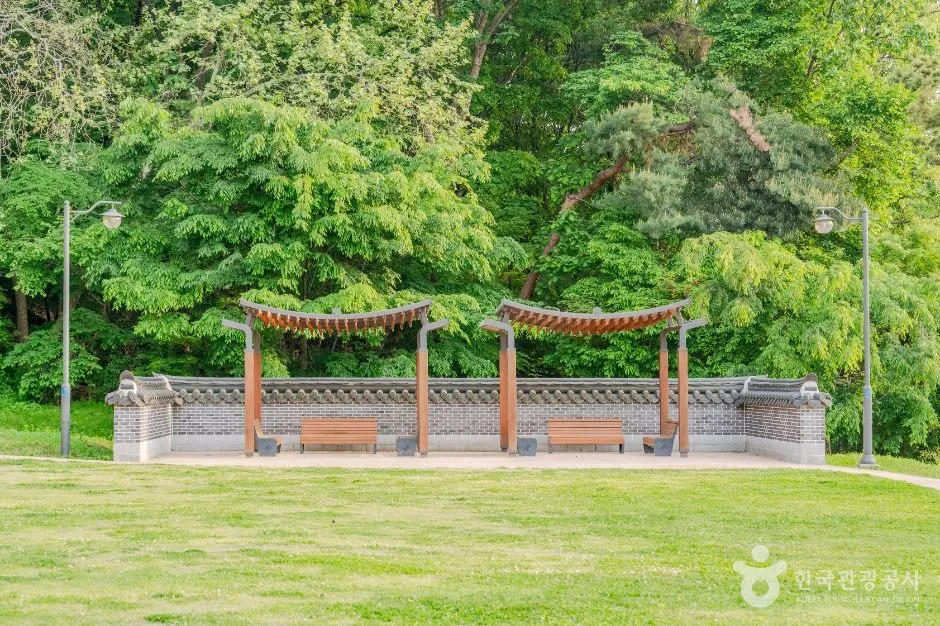 낮부터 밤까지, 수원의 숲을 찾아 떠난 여행_경기_수원_노송지대_2.jpg