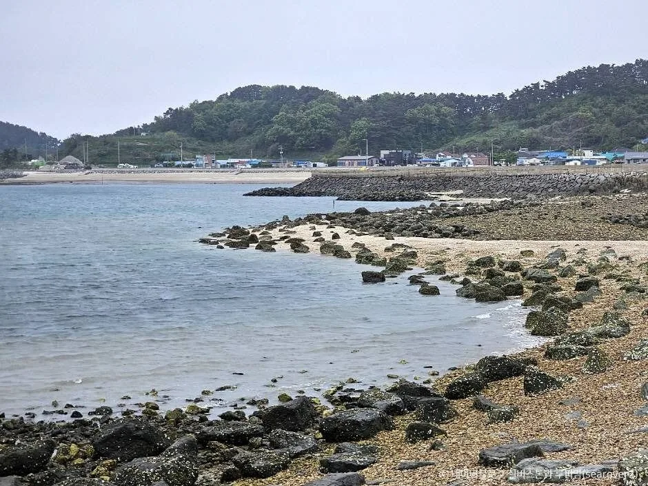 소야도 떼뿌리 해변