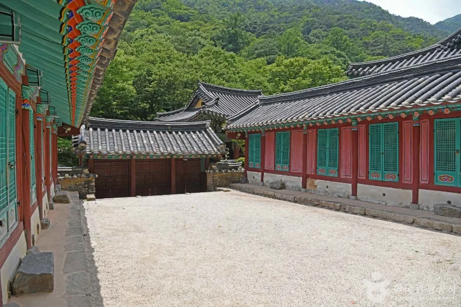 숙모전 (6)
