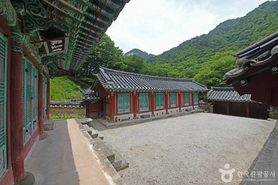 숙모전 (5)