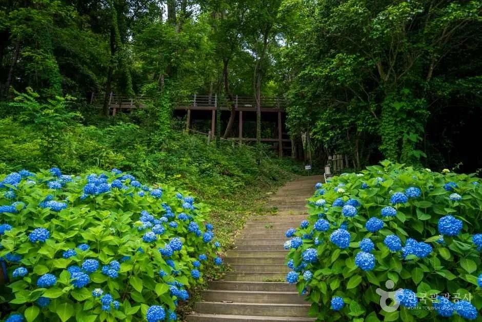 약산해안치유의 숲