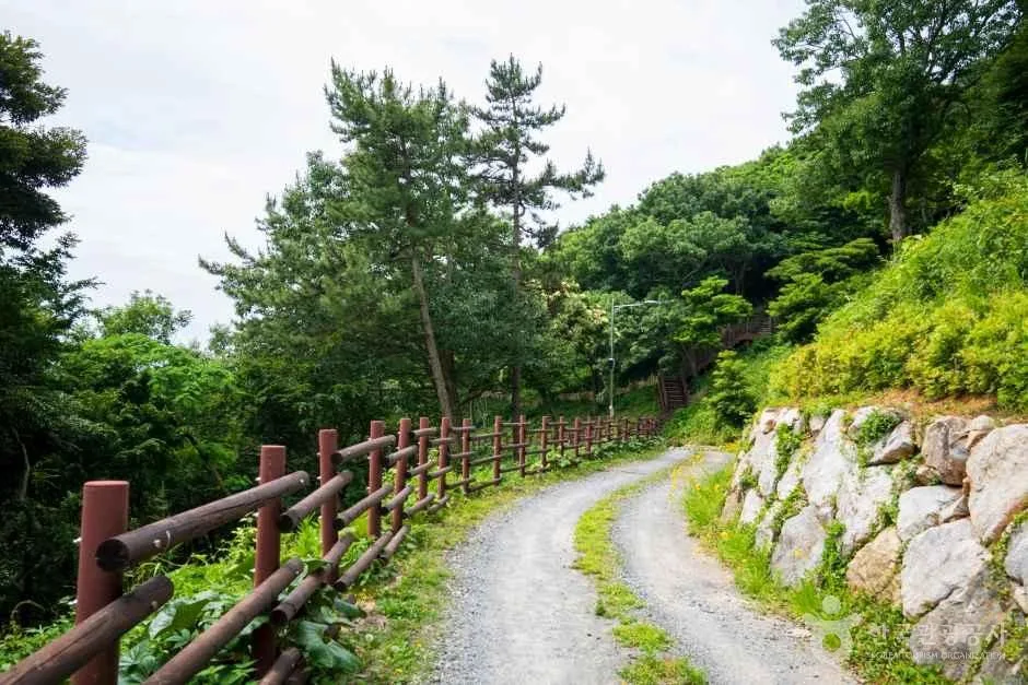 약산해안치유의 숲
