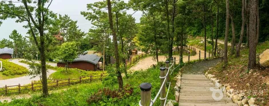 약산해안치유의 숲