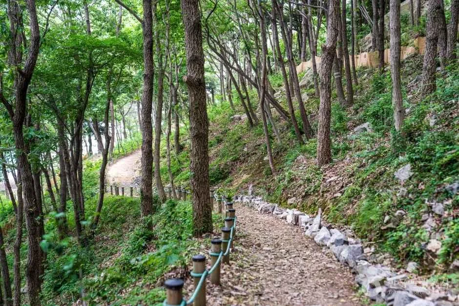 약산해안치유의 숲