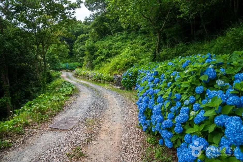 약산해안치유의 숲