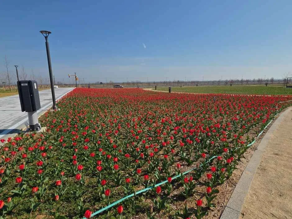 화성_화성에코팜테마파크 (12).jpg