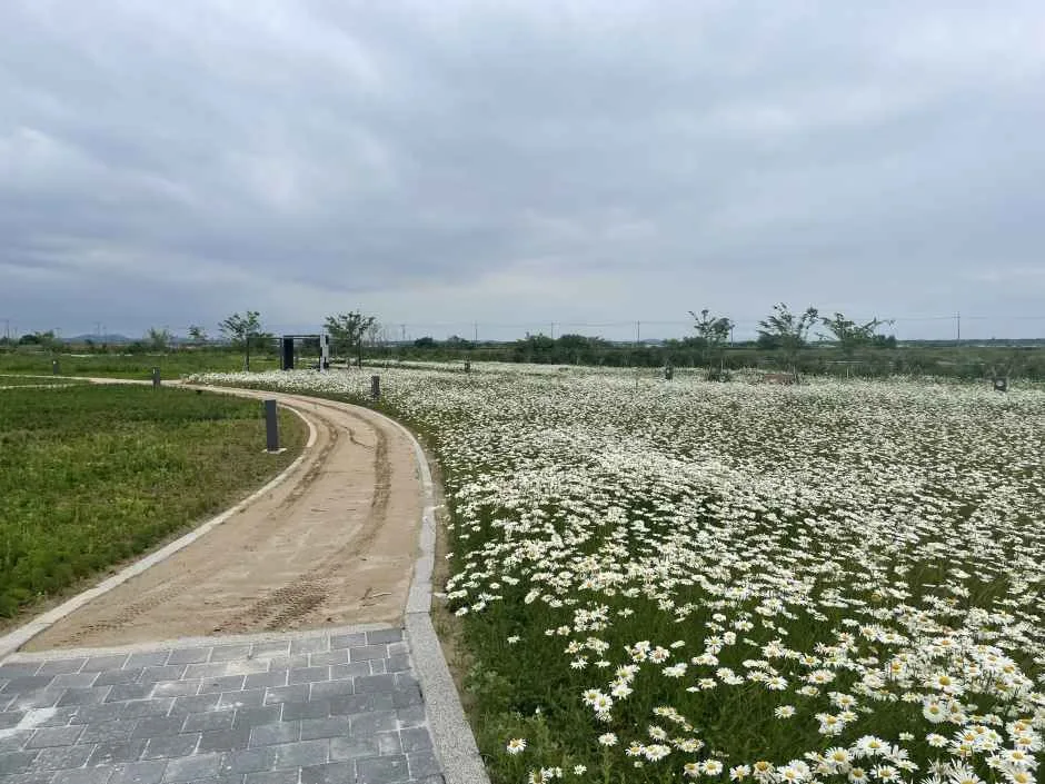 화성_화성에코팜테마파크 (7).jpg