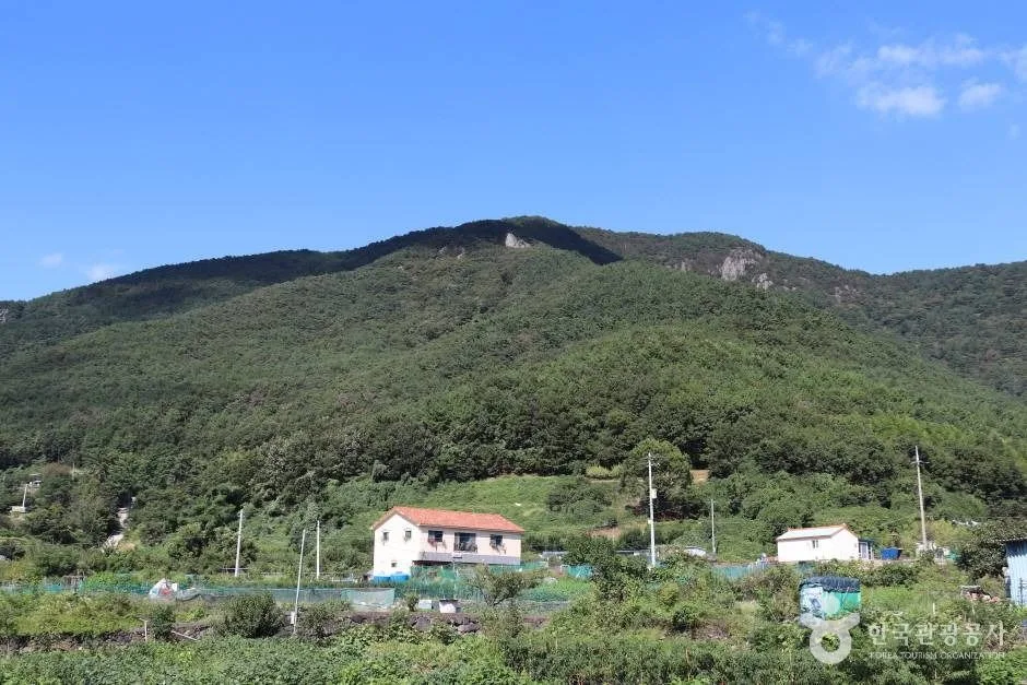 앵산 (9)_e