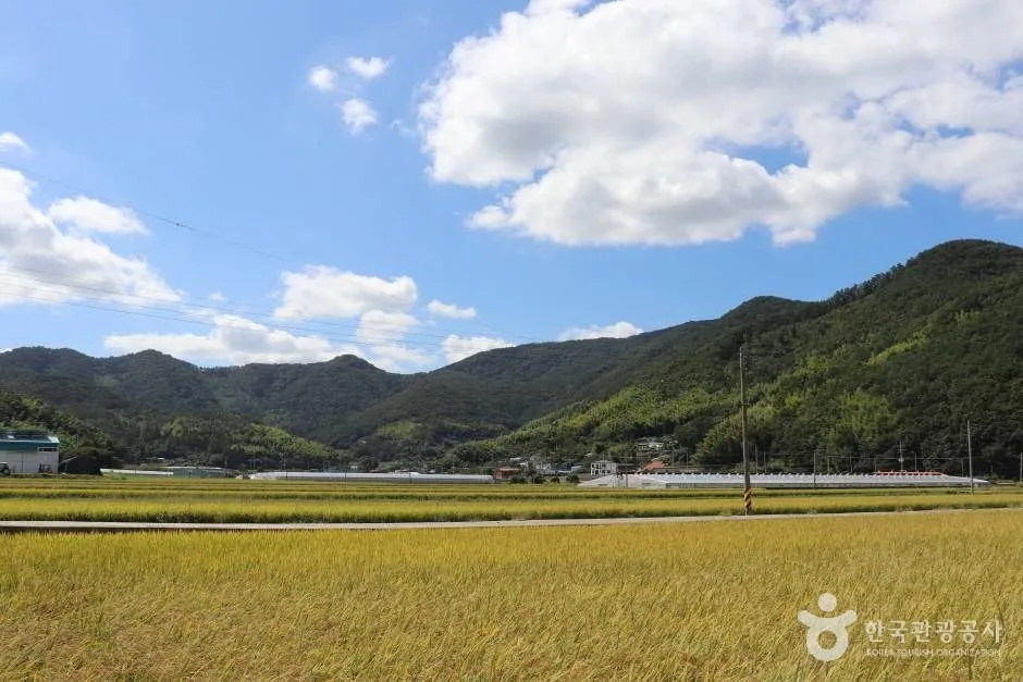 앵산 (10)_e
