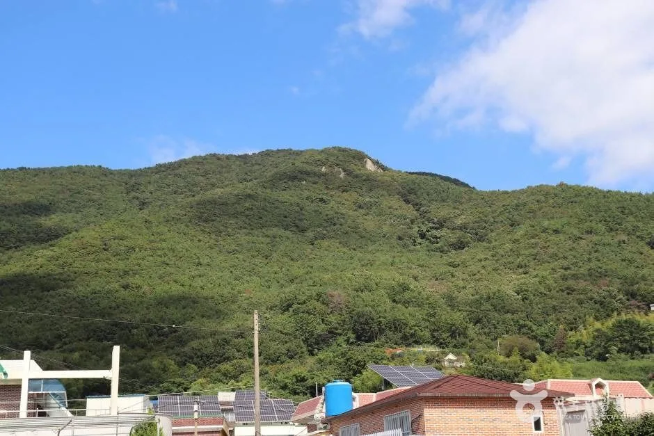 앵산 (8)_e