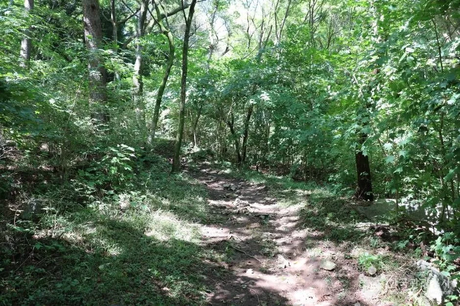 앵산 (14)_e