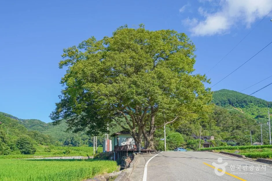 진주_가뫼골마을 (2)