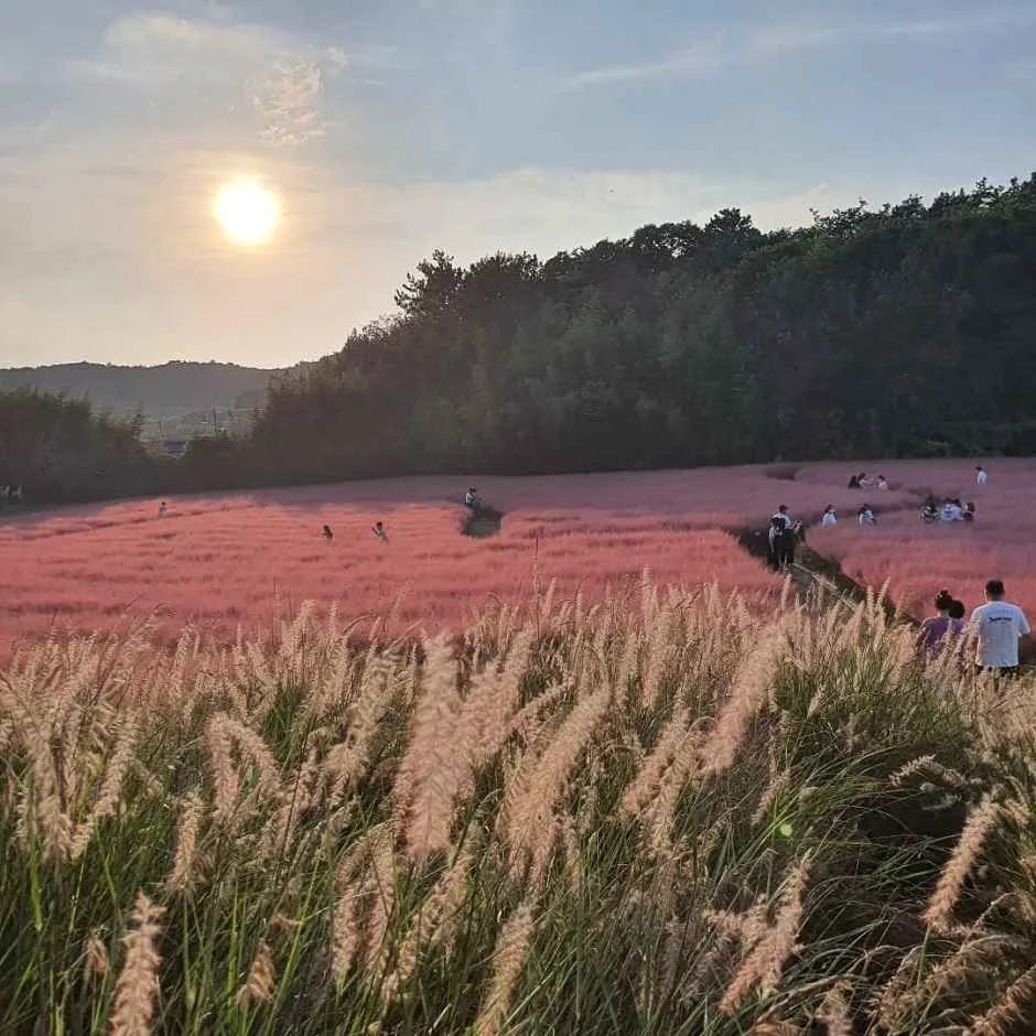 고창_고창 청농원 (1).jpg