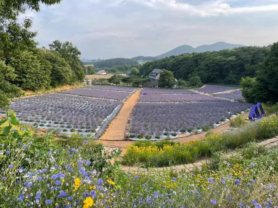 고창_고창 청농원 (1).jpg