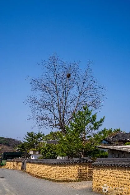 매원마을 (3)