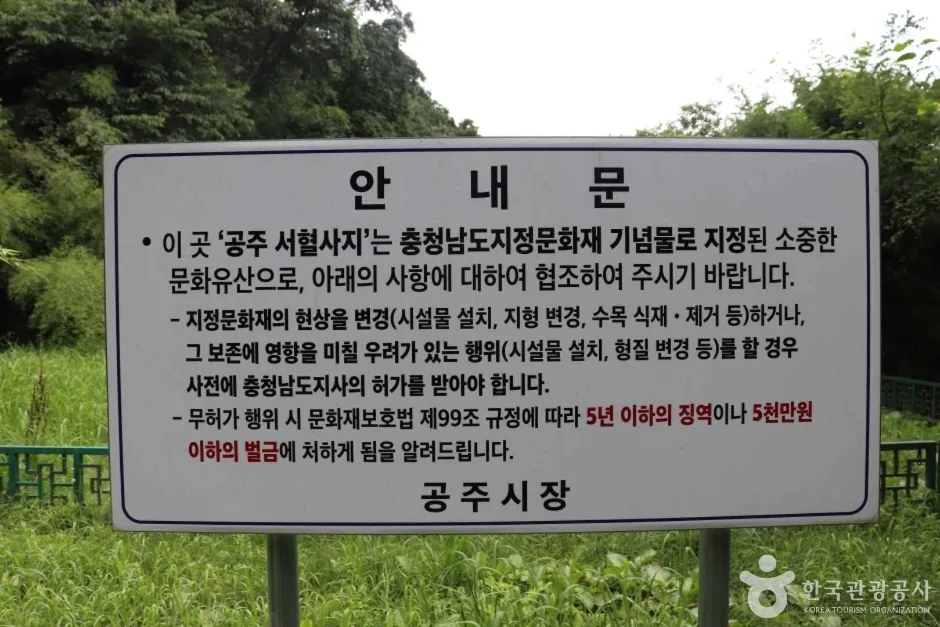 공주서혈사지 (7)_e