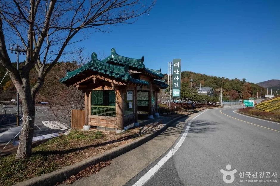 전남_보성_대한다원_내부_1.jpg