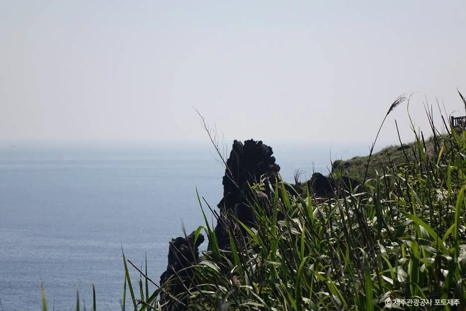 제주_송악산전망대 (3)