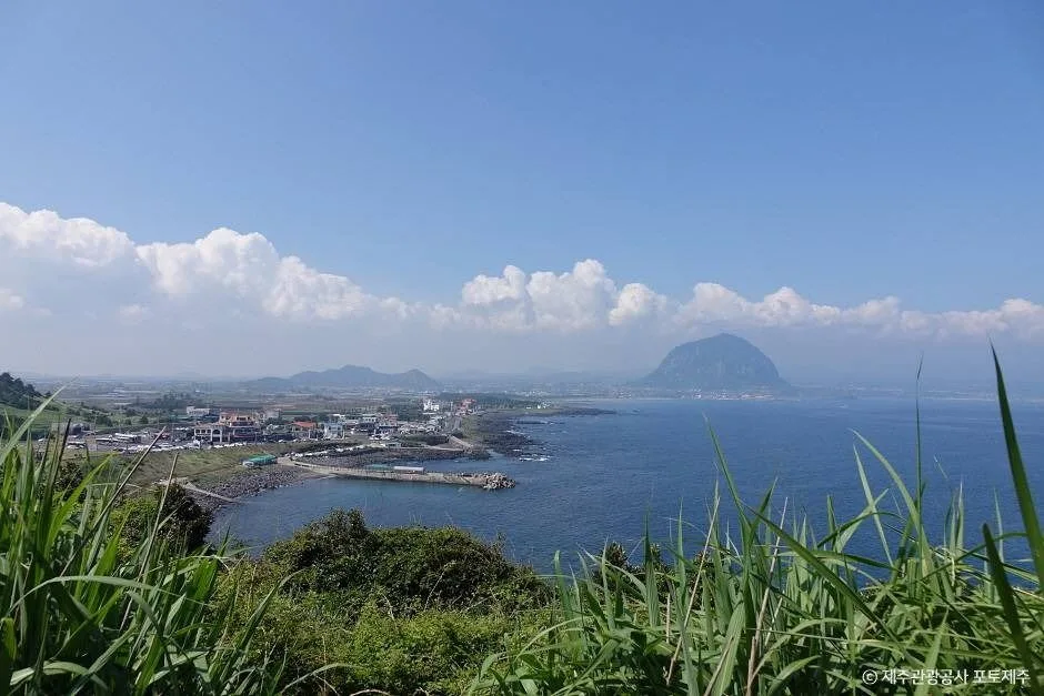 제주_송악산전망대 (4)