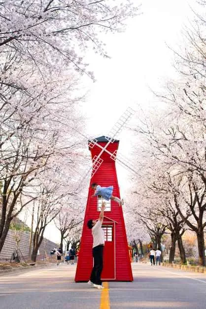 2026 여주흥천남한강 벚꽃축제 (11).jpg