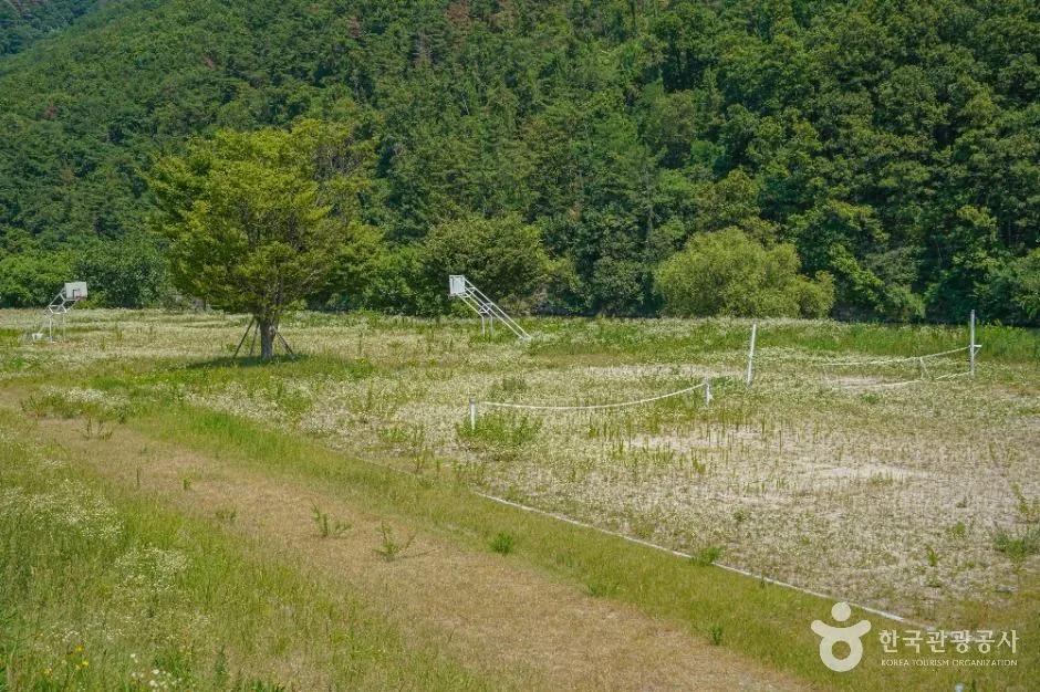밀양_용두연유원지 (2)