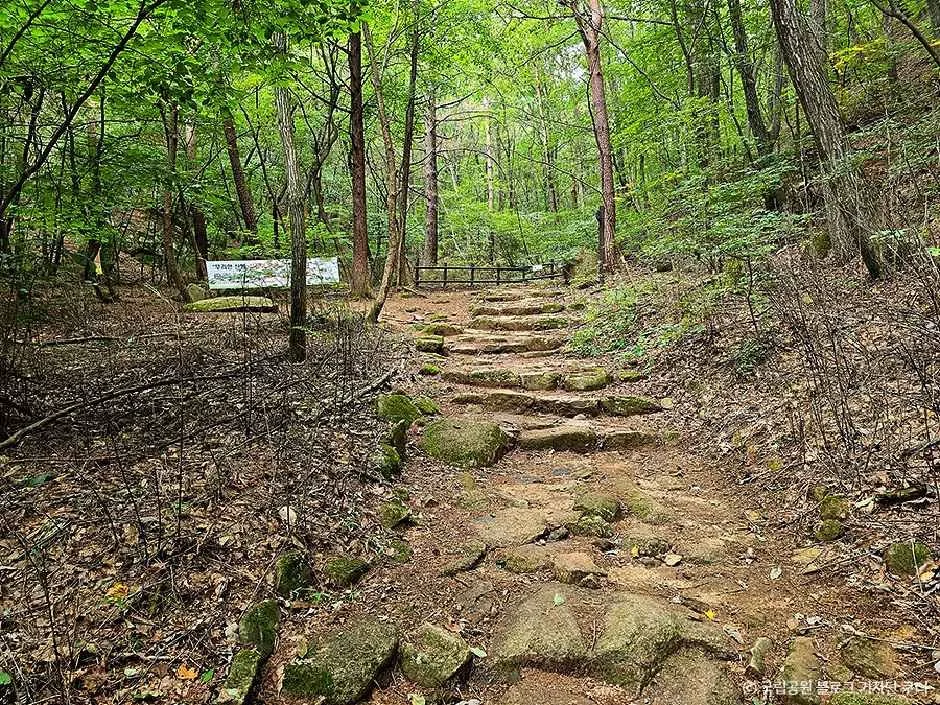 보은_속리산국립공원(충북) (1).jpg