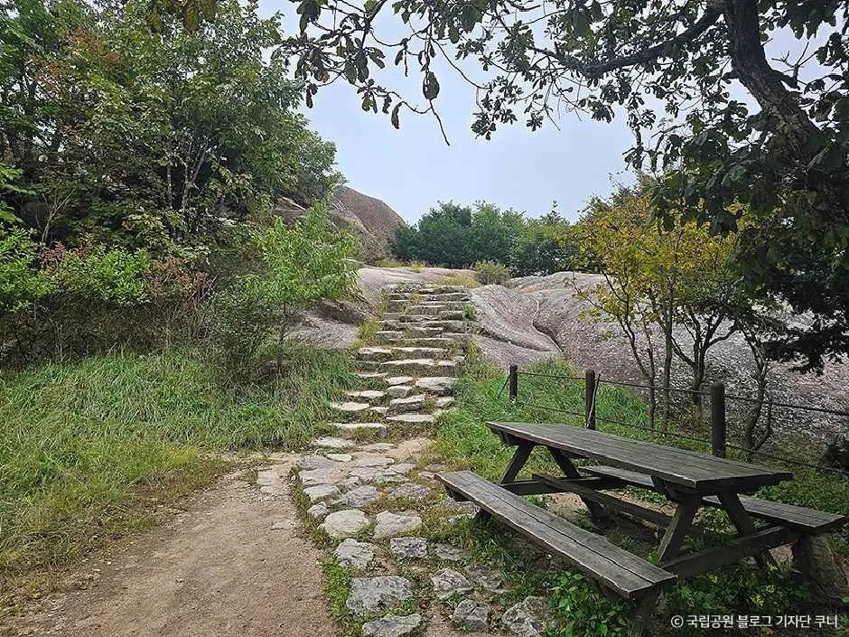 보은_속리산국립공원(충북) (5).jpg