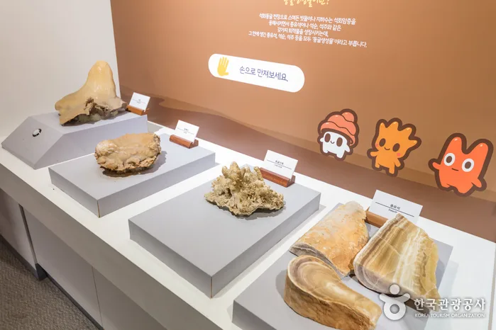 강원도 평창 여행 가볼만한곳_백룡동굴_2-7