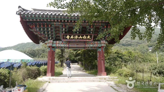 선비의 걸음으로 영주의 옛고개를 넘다