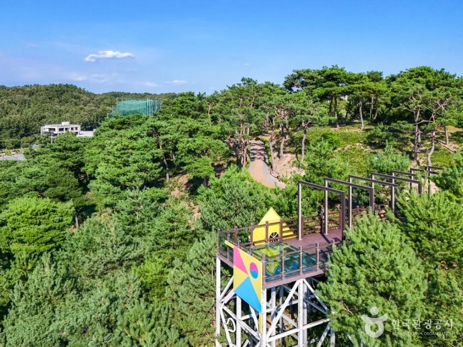 영천_영천한의마을 (5)