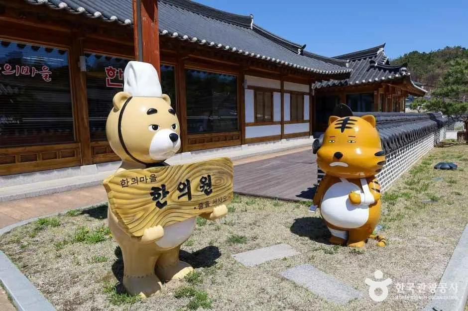 경북_영천_영천한의마을_내부_2.jpg