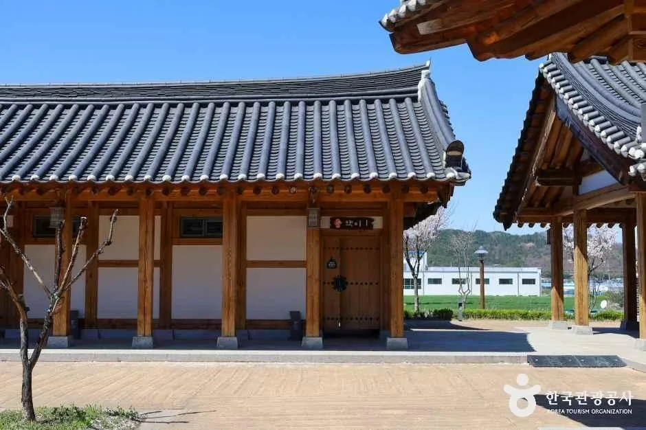 경북_영천_영천한의마을_외부_2.jpg