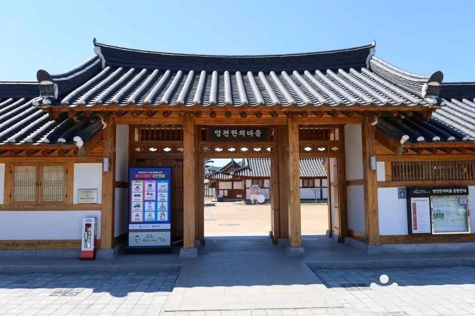 경북_영천_영천한의마을_체험.jpg
