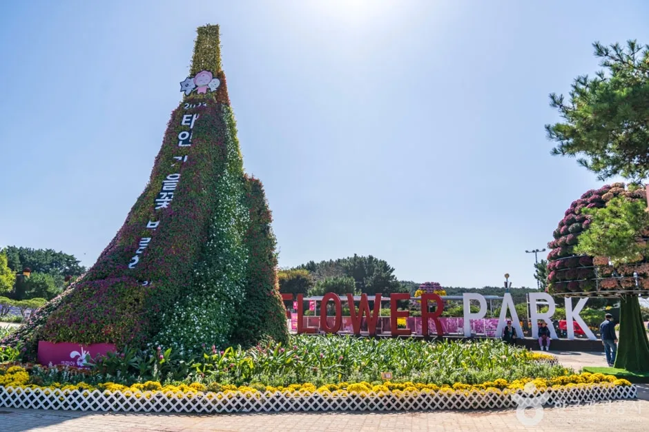 꽃지해안공원 (14)