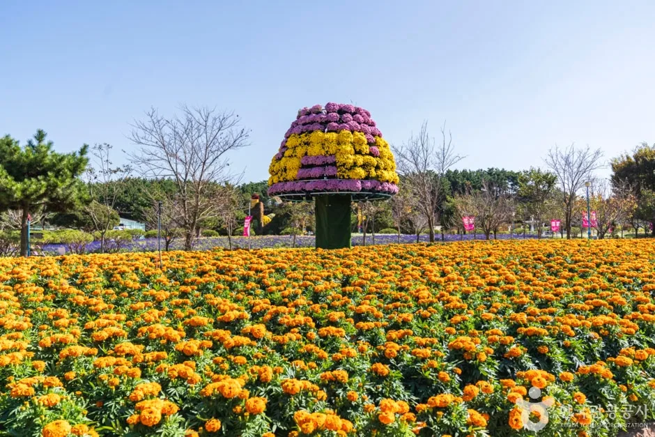 꽃지해안공원 (15)