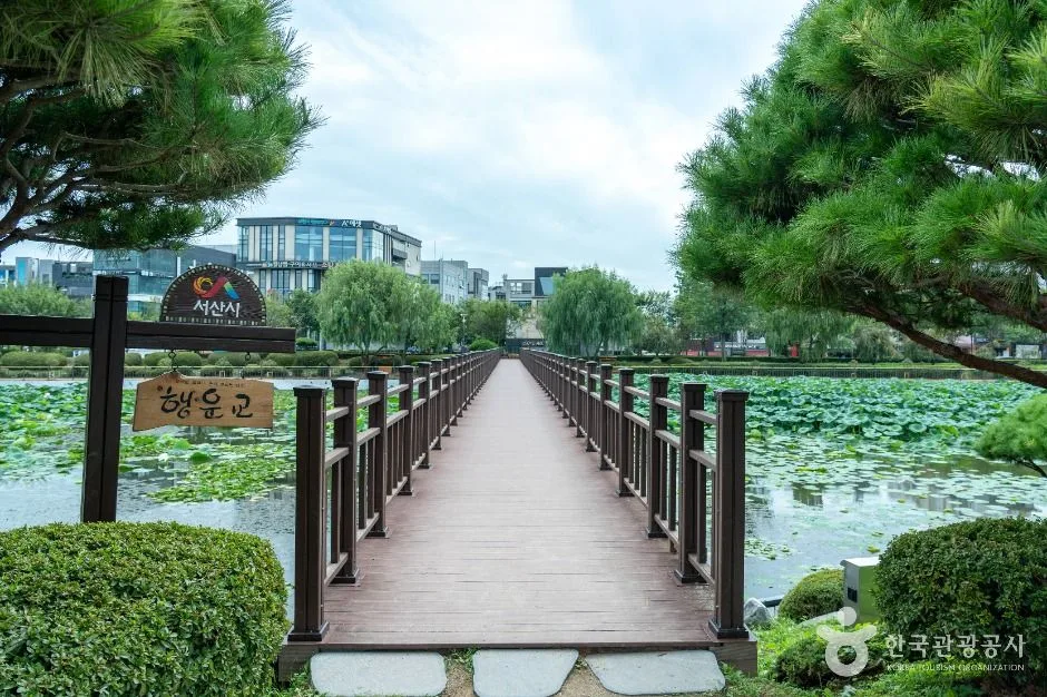 서산_중앙호수공원 (서산) (4)