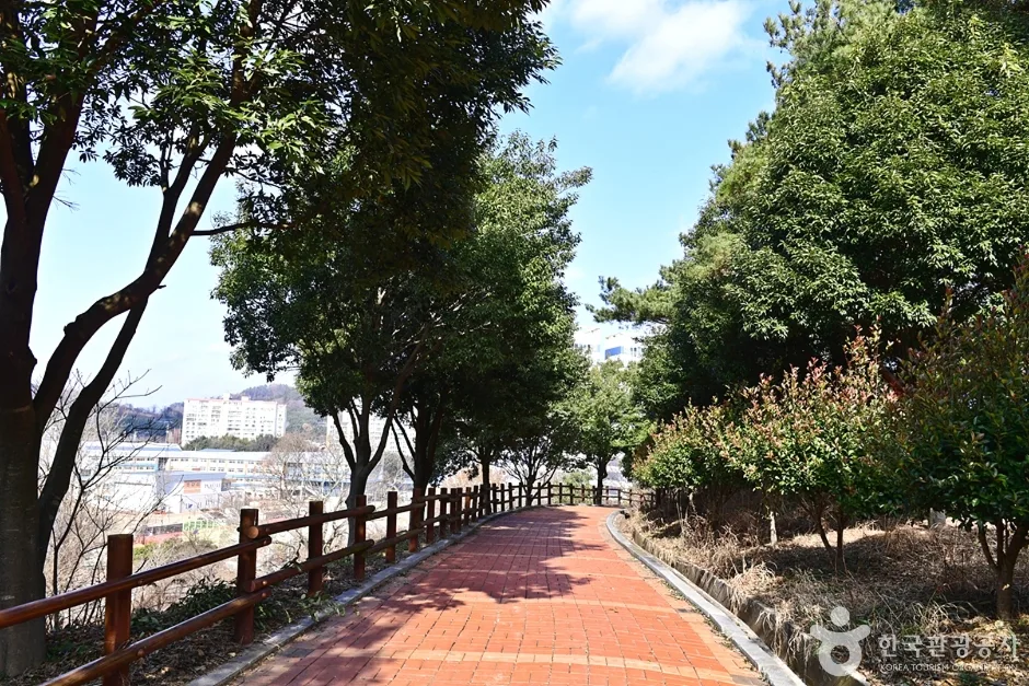 전남_함평_화양근린공원 (5)