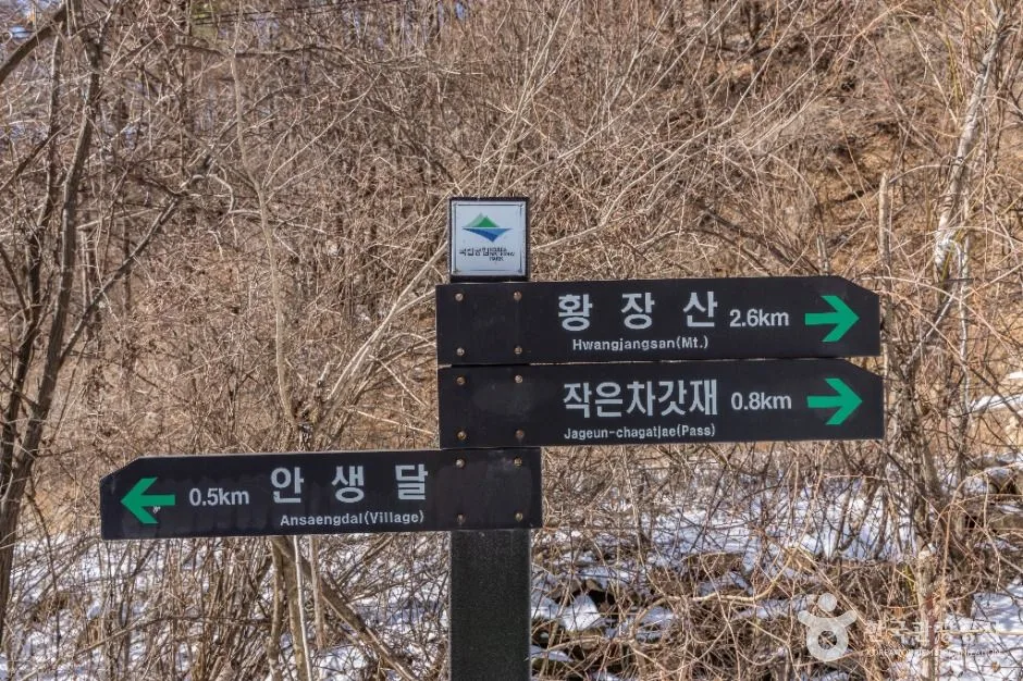 문경_황장산 (1)