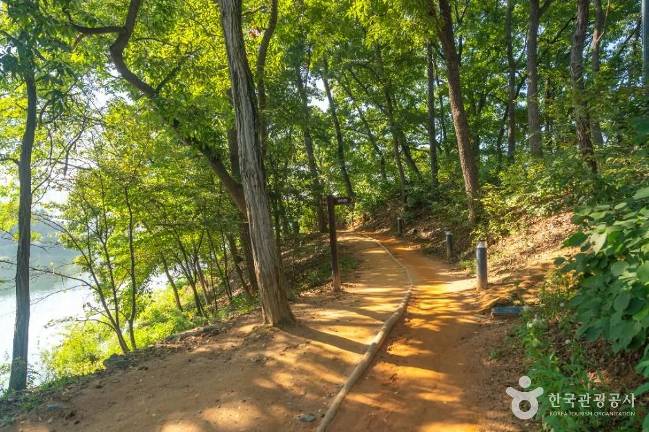 충주_호암지생태공원 (4)