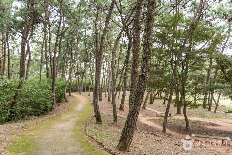 익산_익산 쌍릉 (4)
