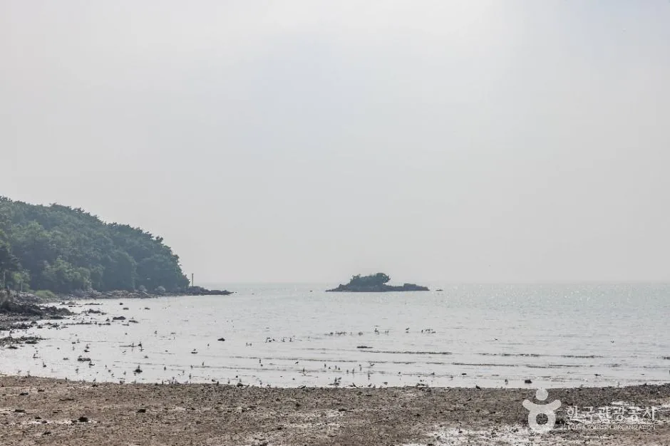 강화_장화리일몰조망지 (1)