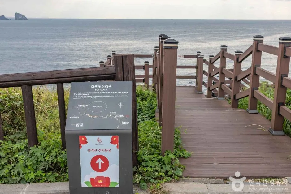 제주_송악산 진지동굴 (2)
