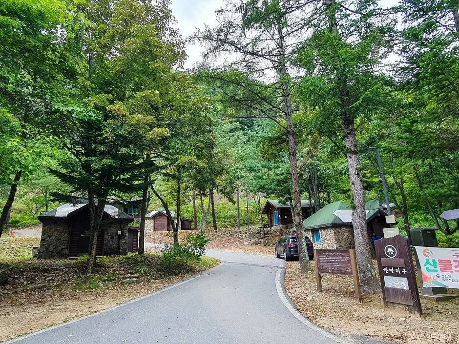 홍천_국립 삼봉자연휴양림 (5)