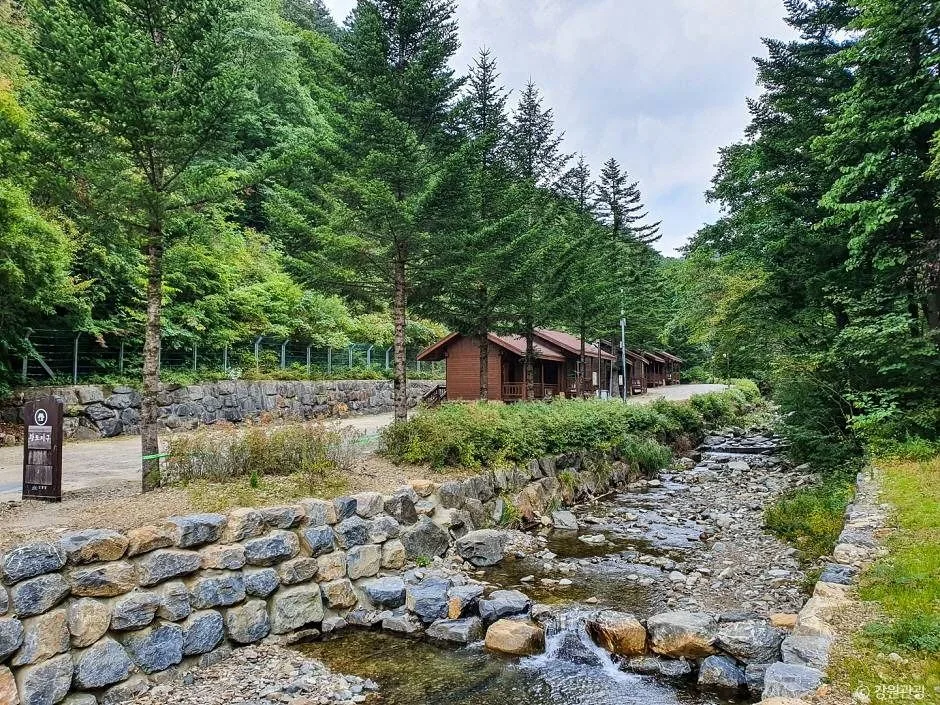 홍천_국립 삼봉자연휴양림 (4)