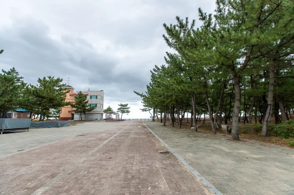 주문진해변_1
