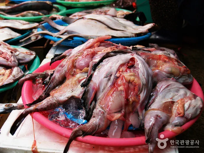 마산어시장_물텀벙(아구)