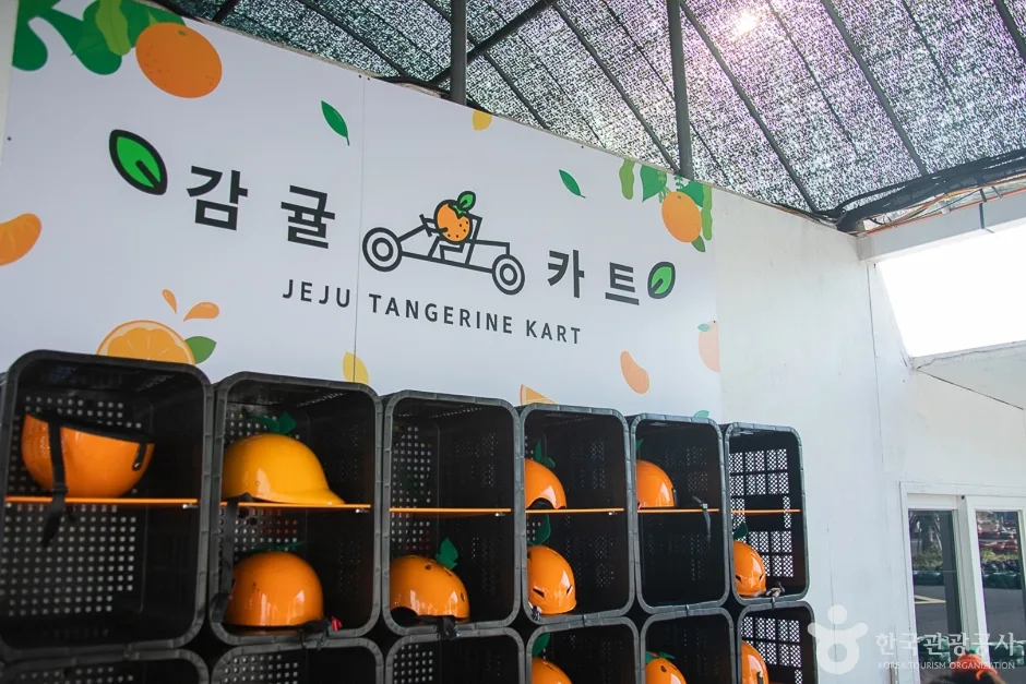 감귤카트 (4)