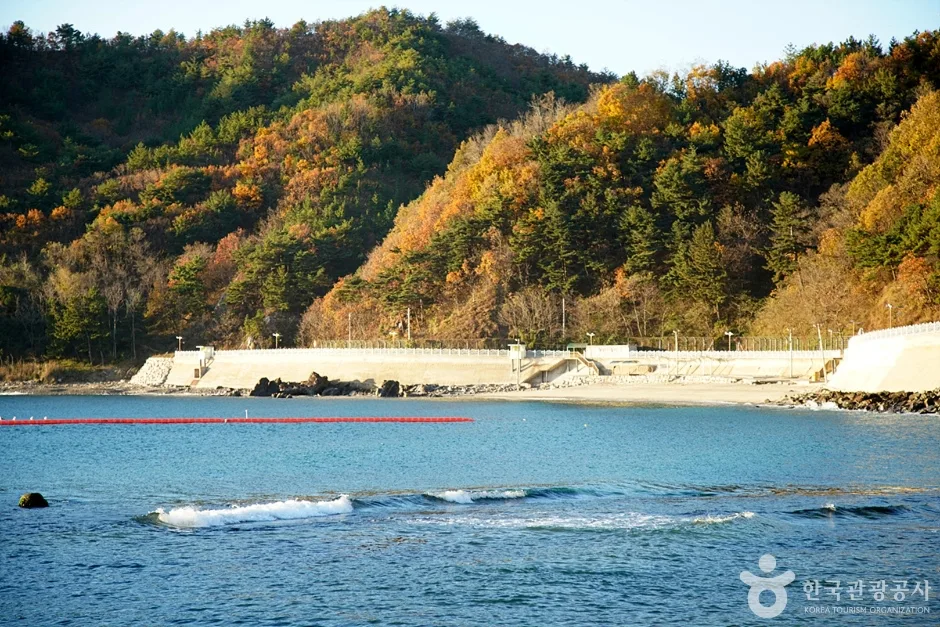 임원해변 (9)